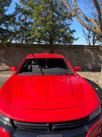 Auto glass repair close-up